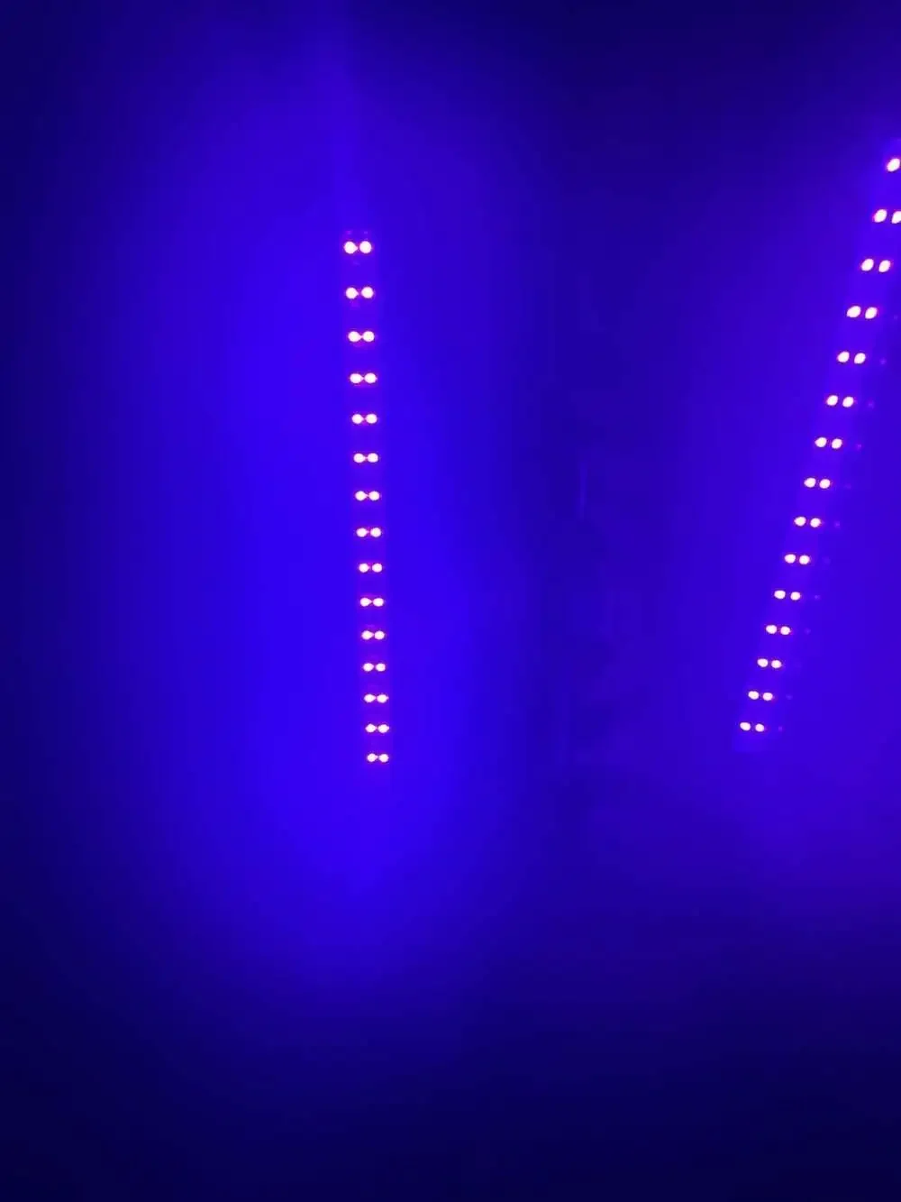 EcoSmart LED Black Light and Purple Flood Light Bulb Bundle with UV LED Bars